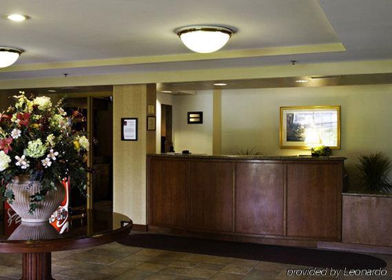 Holiday Inn Baltimore BWI Airport By Ihg Linthicum Wnętrze zdjęcie